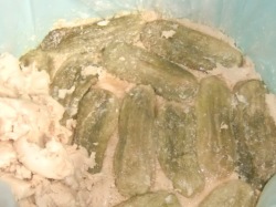 �ϸ����Τ����������ѡ�